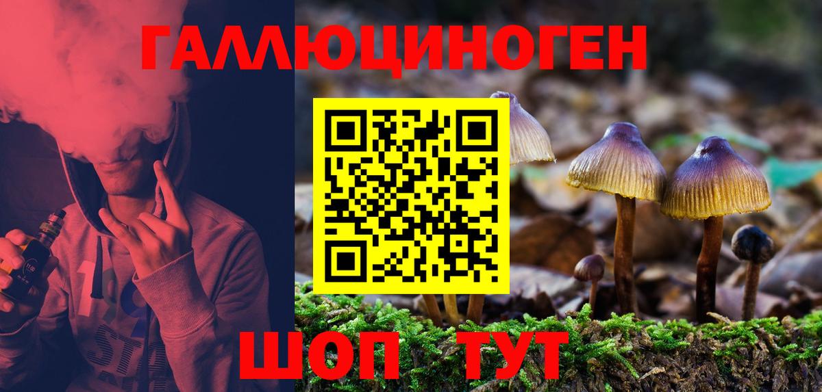 Галлюциногенные грибы Psilocybine cubensis  Вход с VPN  Ливны  Псилоцибиновые грибы Psilocybe 