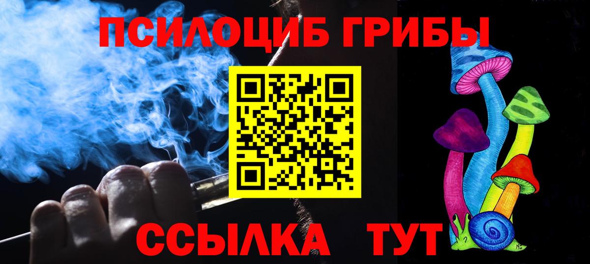 Псилоцибиновые грибы Psilocybe Ливны